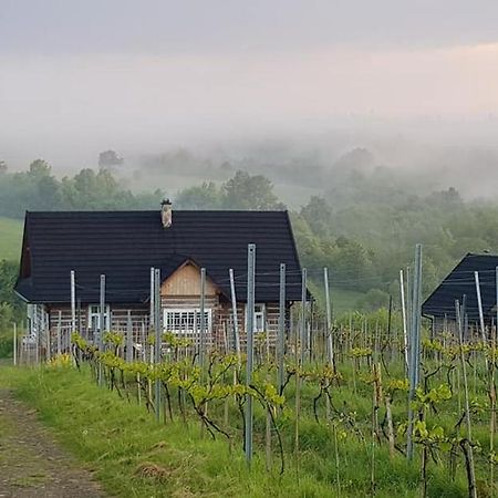 Utopia Dom Przy Winnicy Nowica Esterno foto