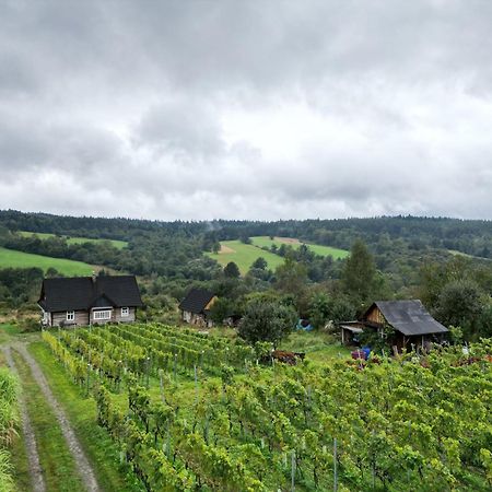 Utopia Dom Przy Winnicy Nowica Esterno foto