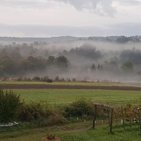 Utopia Dom Przy Winnicy Nowica Esterno foto
