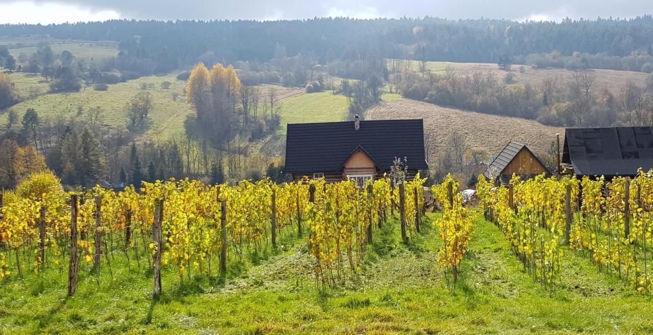 Utopia Dom Przy Winnicy Nowica Esterno foto