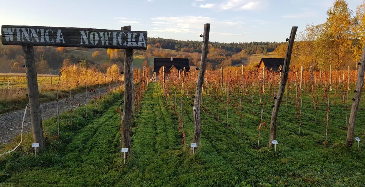 Utopia Dom Przy Winnicy Nowica Esterno foto