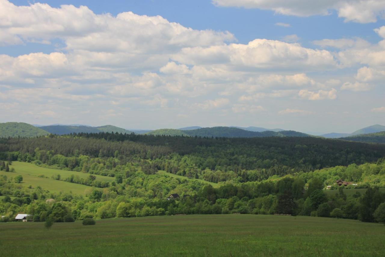 Utopia Dom Przy Winnicy Nowica Esterno foto