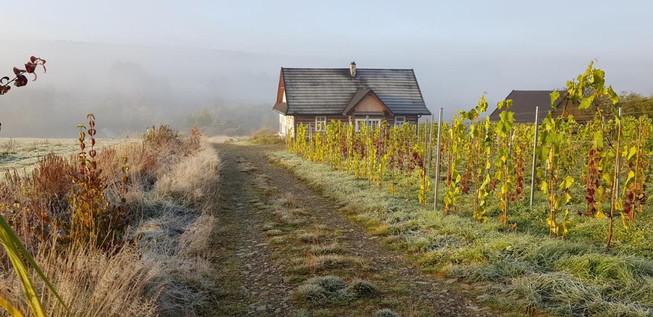 Utopia Dom Przy Winnicy Nowica Esterno foto