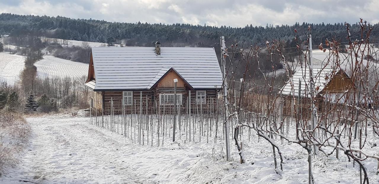 Utopia Dom Przy Winnicy Nowica Esterno foto