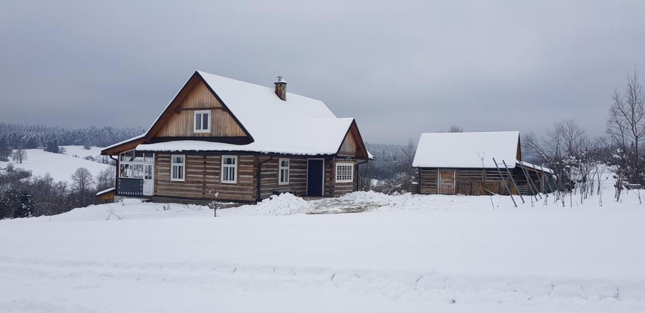 Utopia Dom Przy Winnicy Nowica Esterno foto