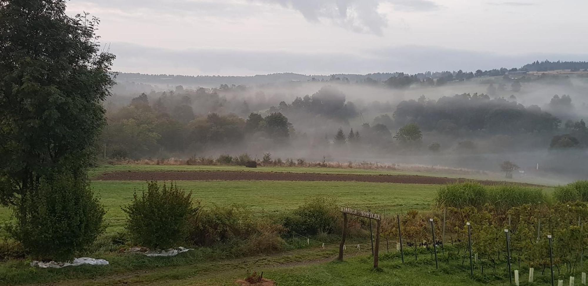 Utopia Dom Przy Winnicy Nowica Esterno foto